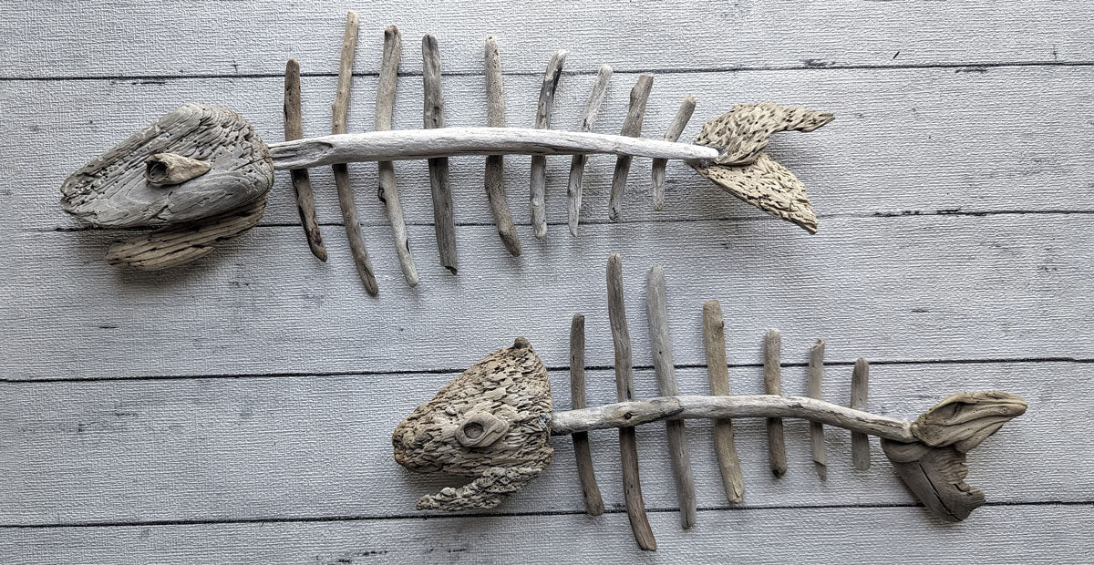 fish skeleton decoration made with drift wood