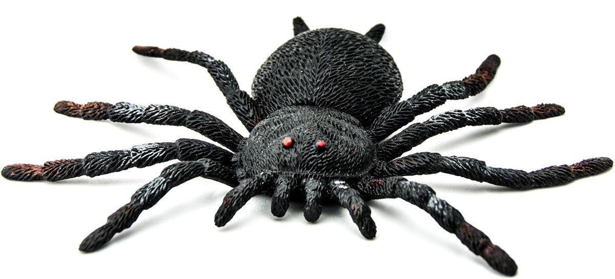 plastic spider