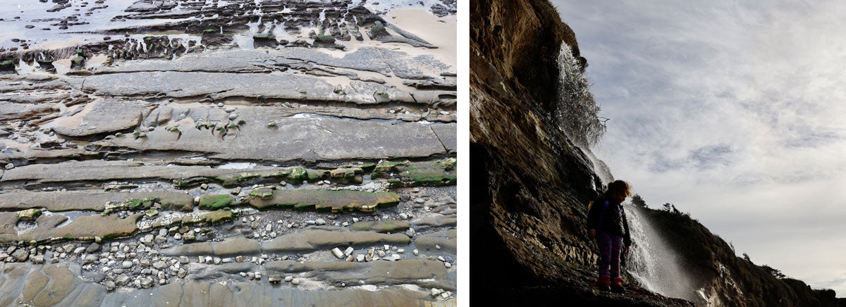 oregon coast beaches for fossil hunting