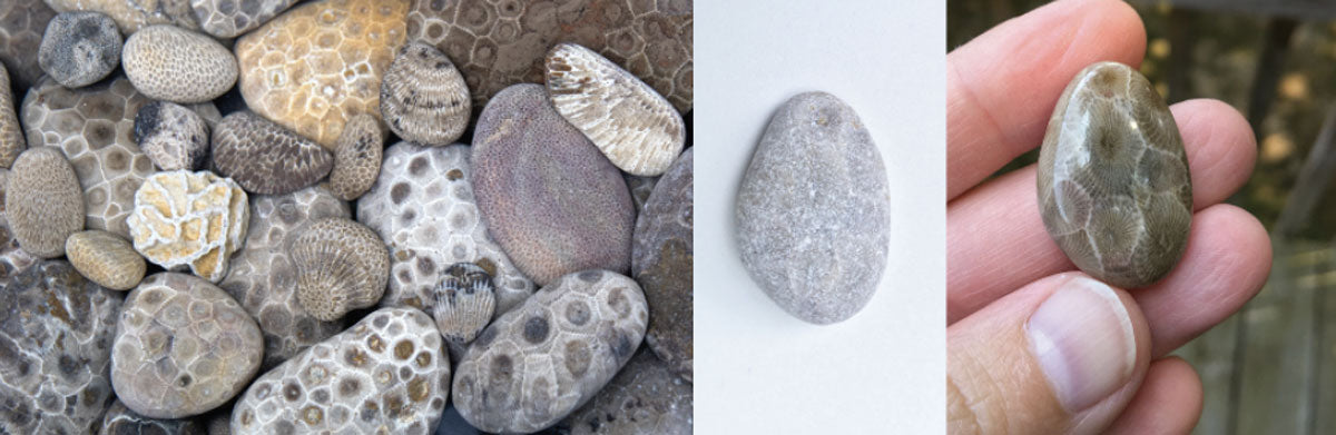 great lakes fossils and stones