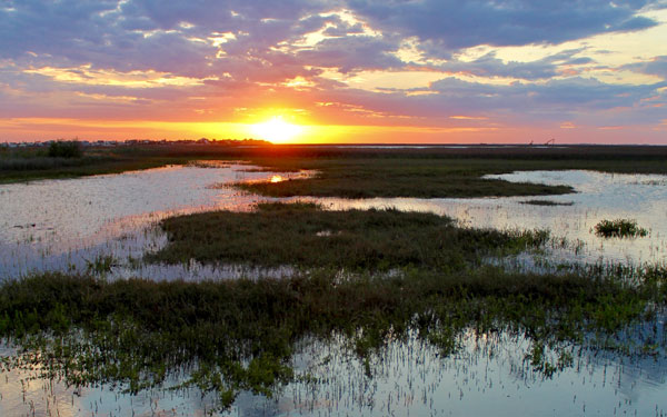galveston island state park