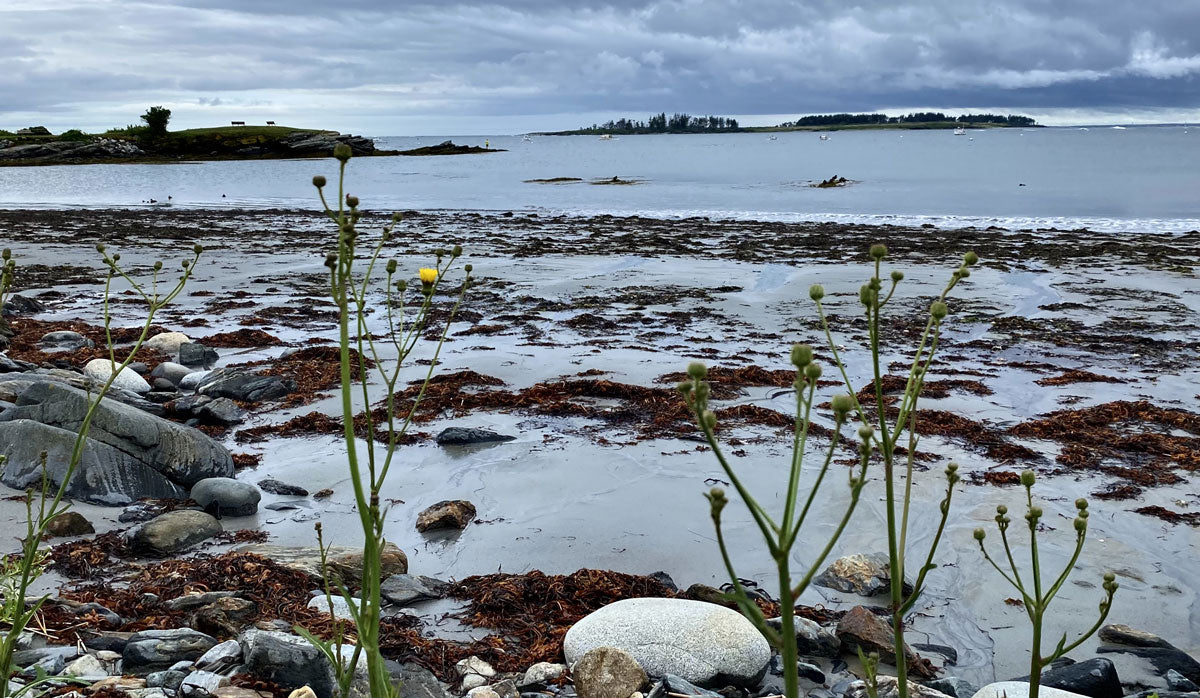 crescent beach portland maine ghost story