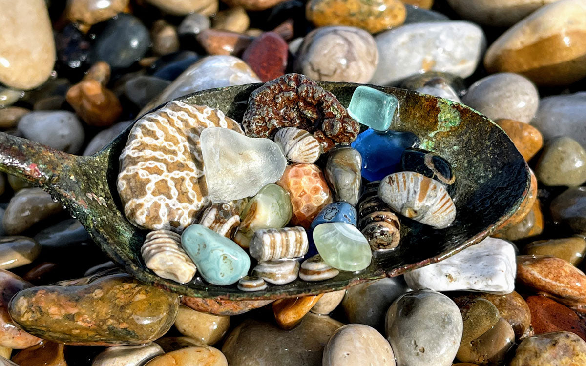 great lakes fossils sea glass rocks