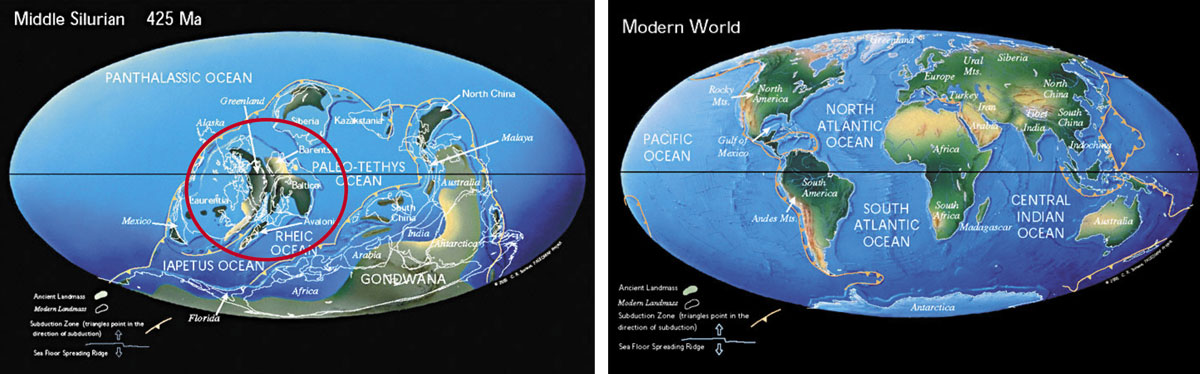 continental drift