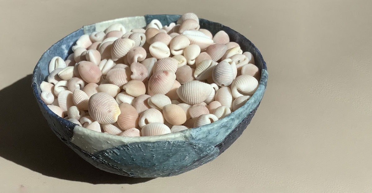 bowl of cowrie shells from scotland