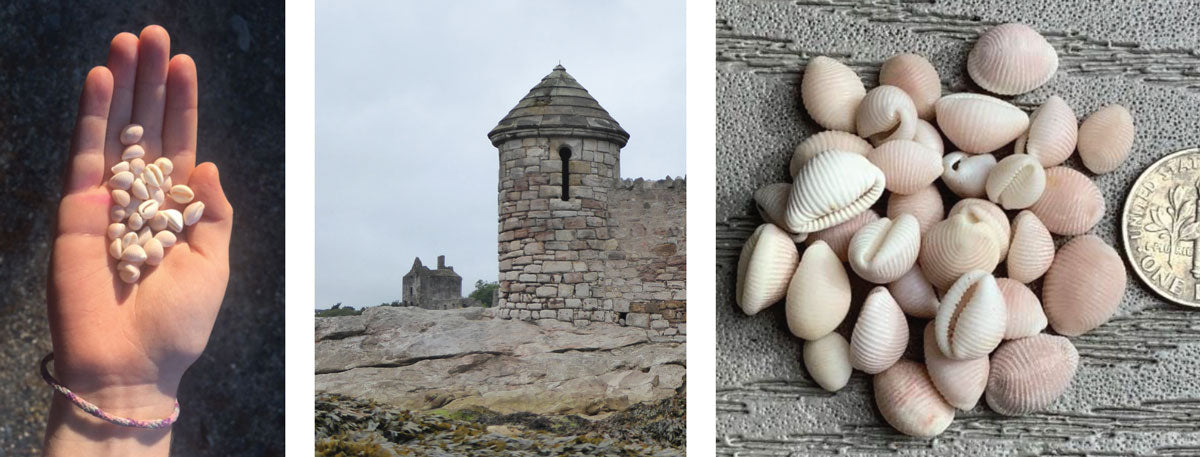 cowrie shell hunting on scottish coastline