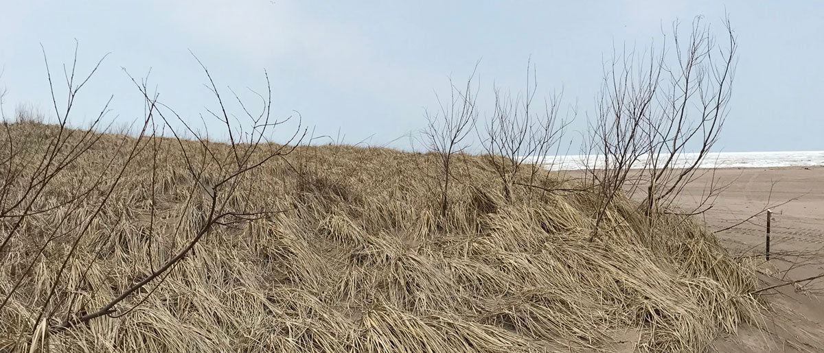 lake erie beach