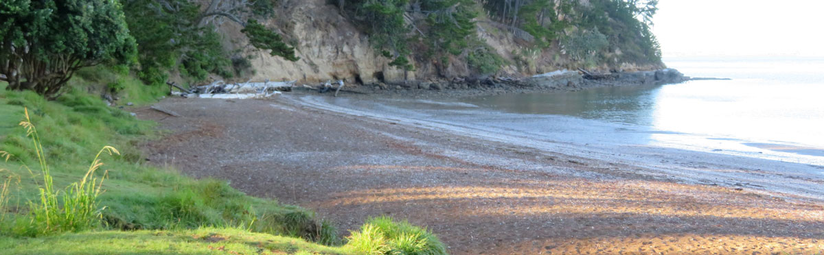 beach in aukland harbor