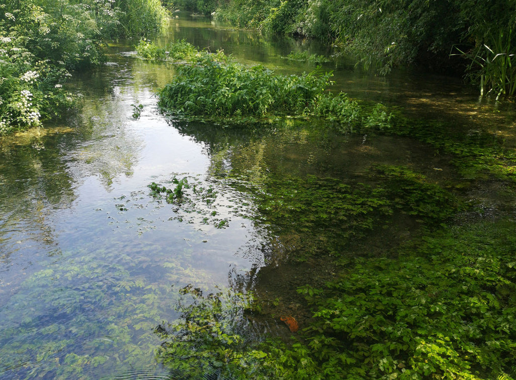 river in southern england