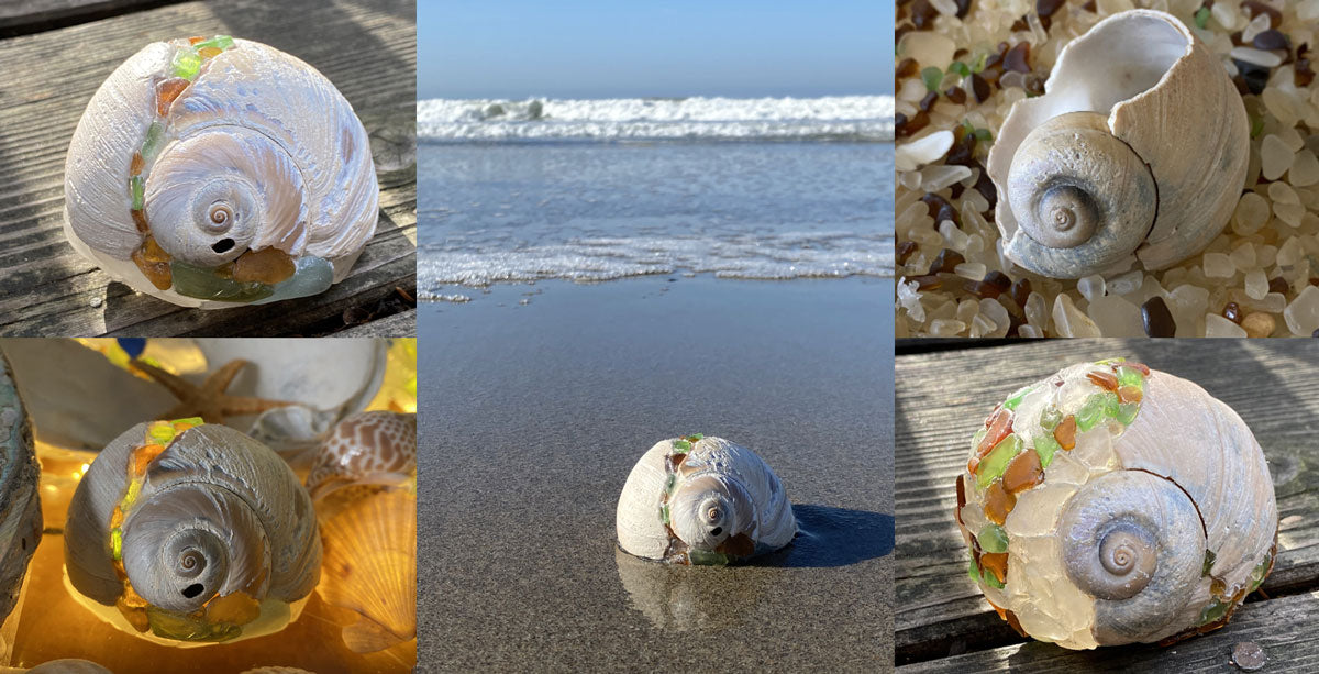 snail shell fixed with beach glass