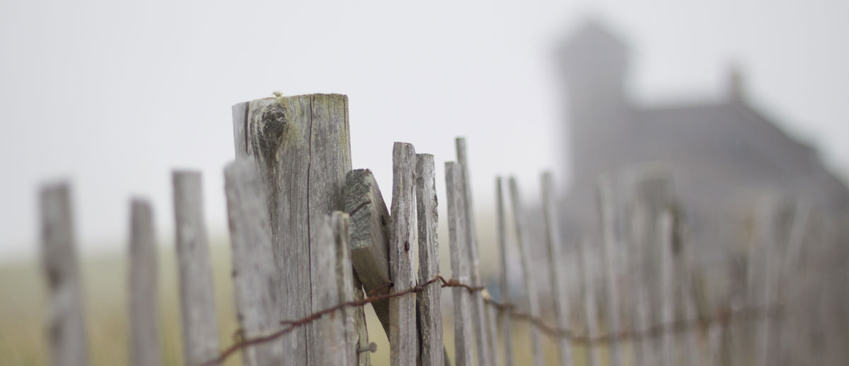 foggy dunes in cape cod