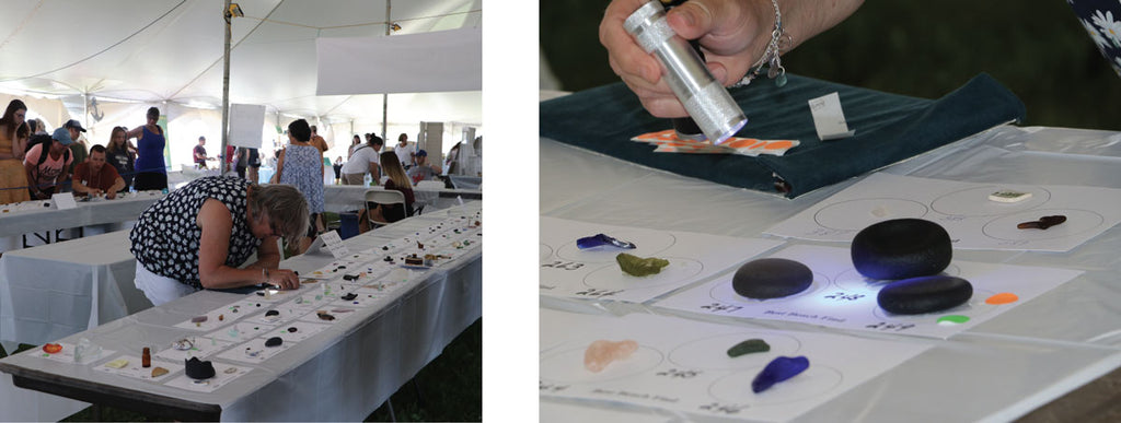 judging a sea glass contest