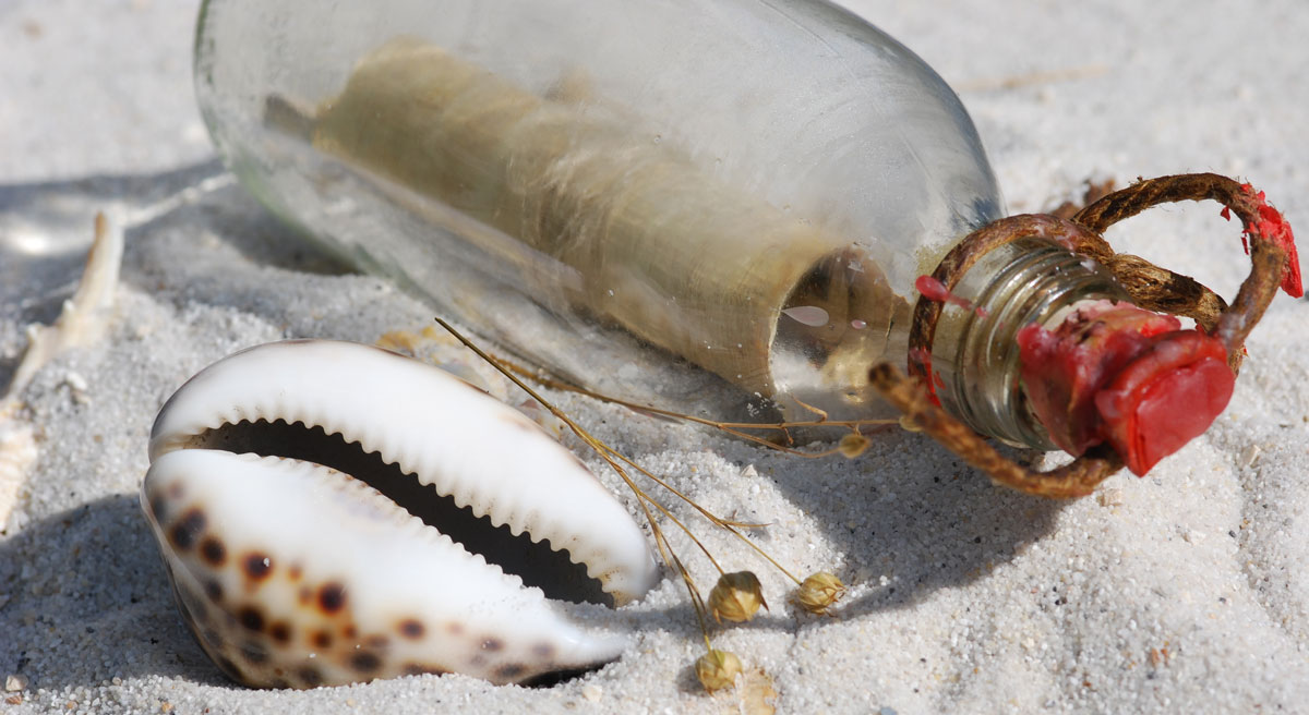 message in bottle on beach with cowrie shell