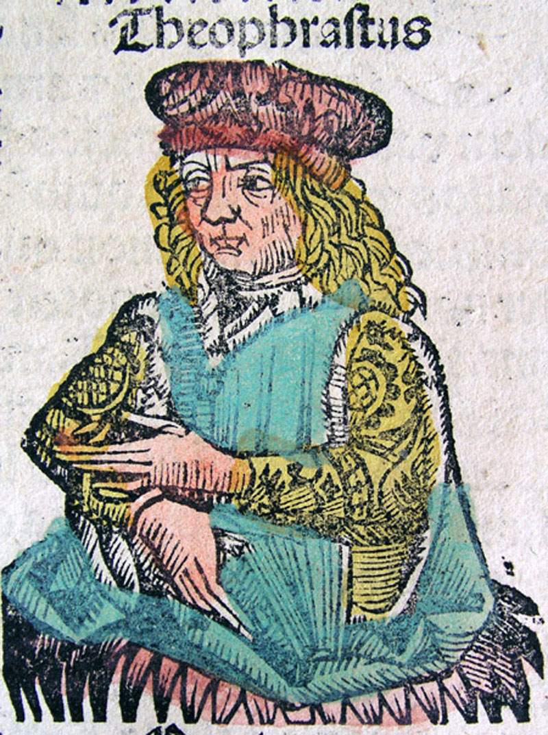 Ancient Greek philosopher Theophrastus, depicted in the Nuremberg Chronicle, 1493