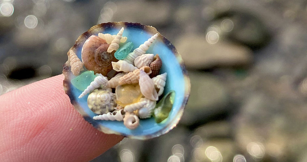 mini shells