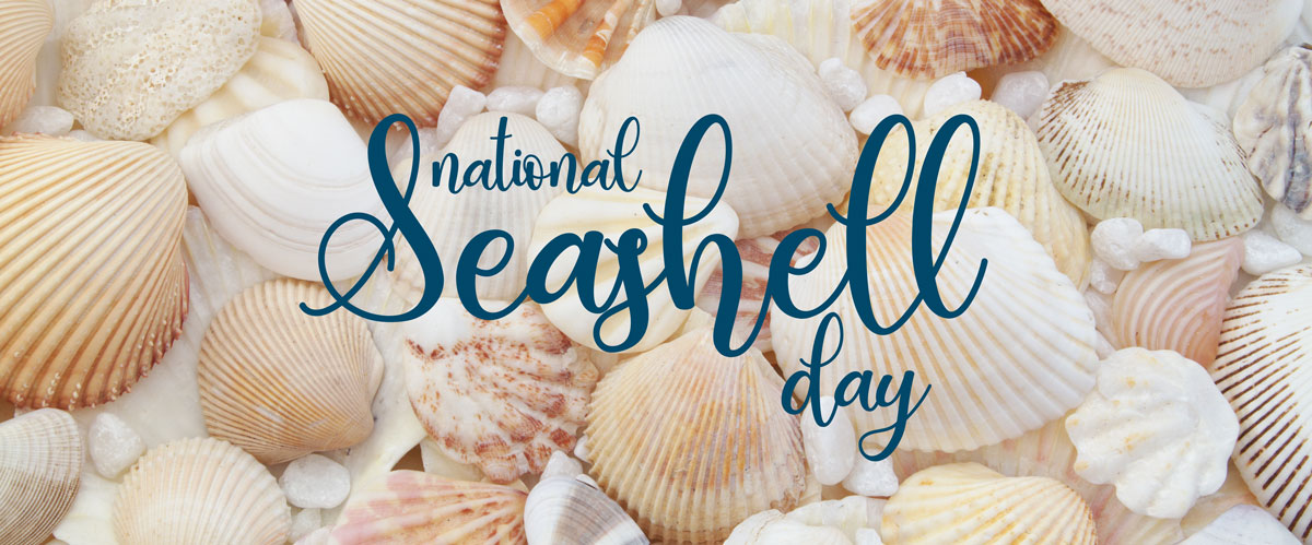 NATIONAL SEASHELL DAY - June 21, 2024 - National Today