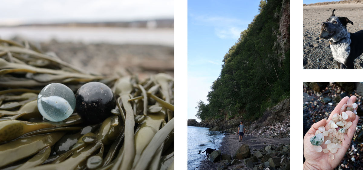 beachcomber from nova scotia