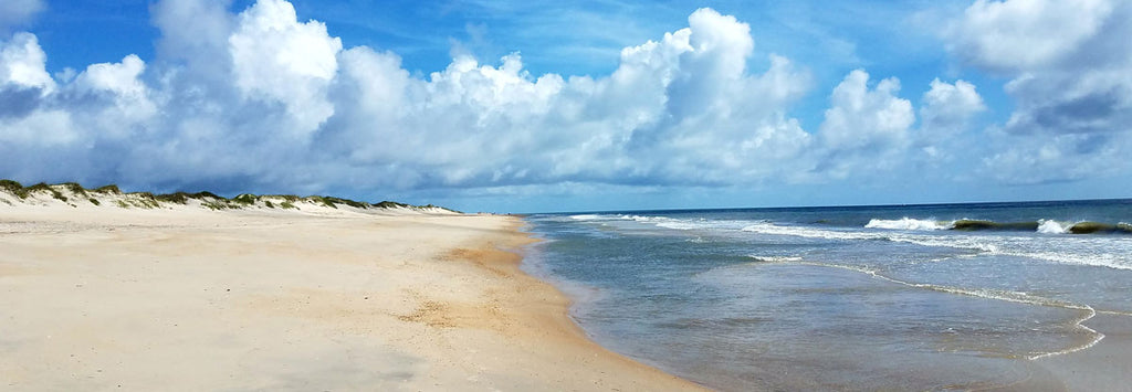 Life on a Sandbar: The Outer Banks – Beachcombing Magazine