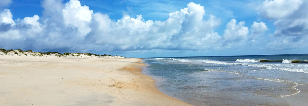 outer banks beachcombing