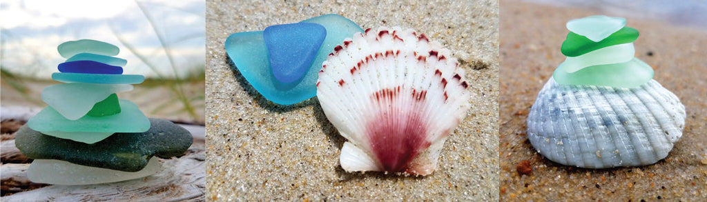 outer banks sea shells and beach glass