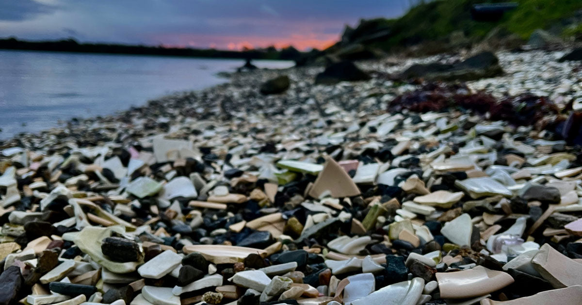 beach filled with sea pottery