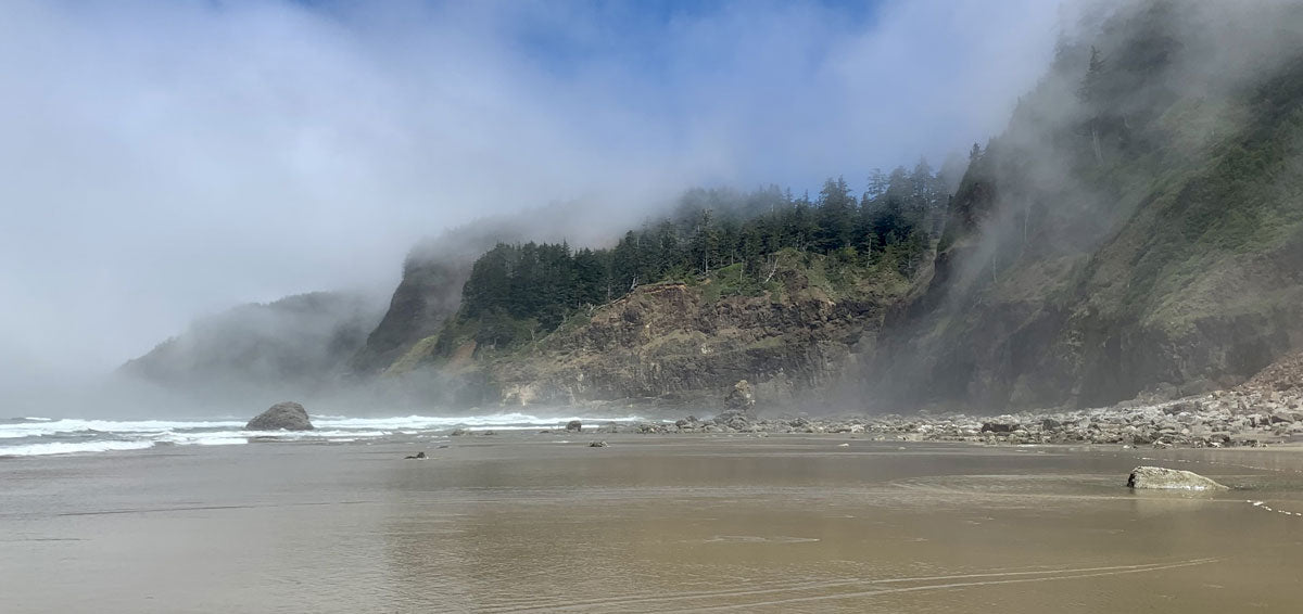 oregon coast beachcombing in fog