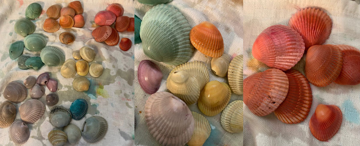 pastel sea shells dyed for easter