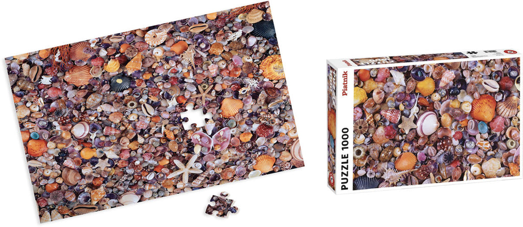 puzzle with shells