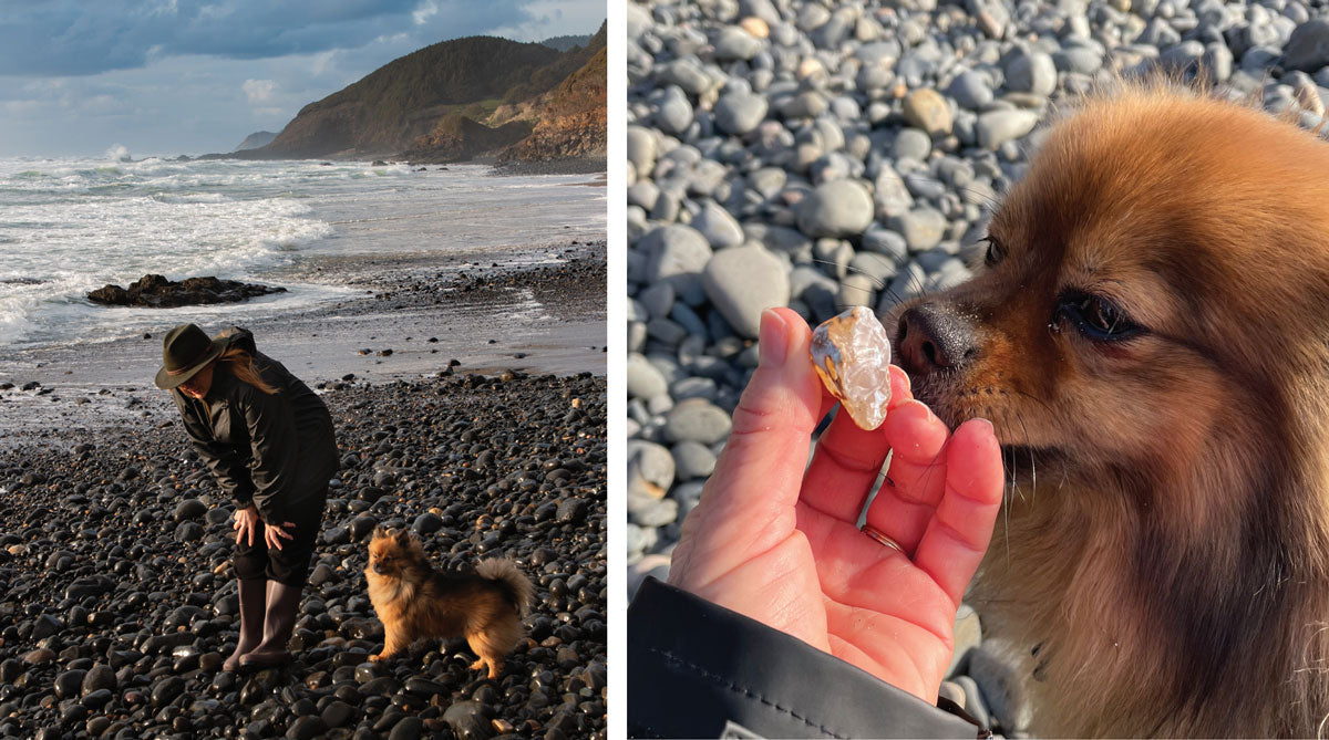 hunting for agates on the oregon coast