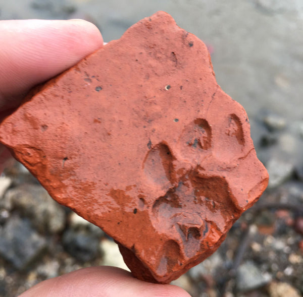 roman mudlark pottery with animal print