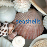 sea shells book