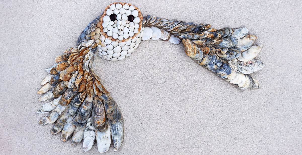 owl mosaic made with seashells