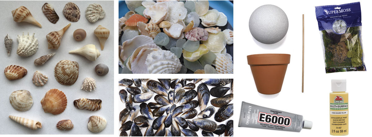 supplies to craft a sea shell topiary tree
