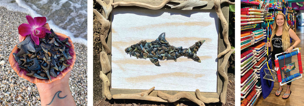 collection of shark teeth and shark tooth art