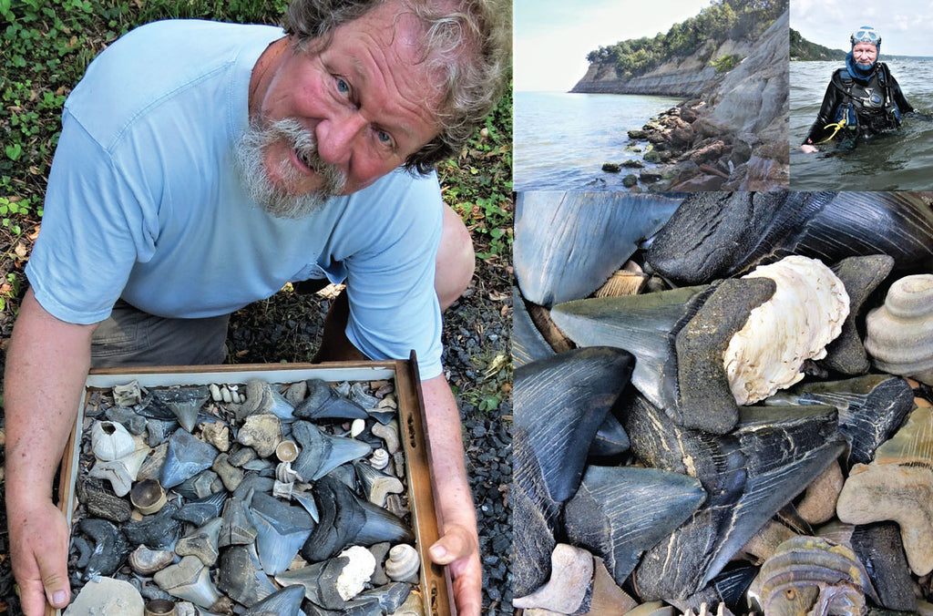Steve Gladhill shark fossil collector