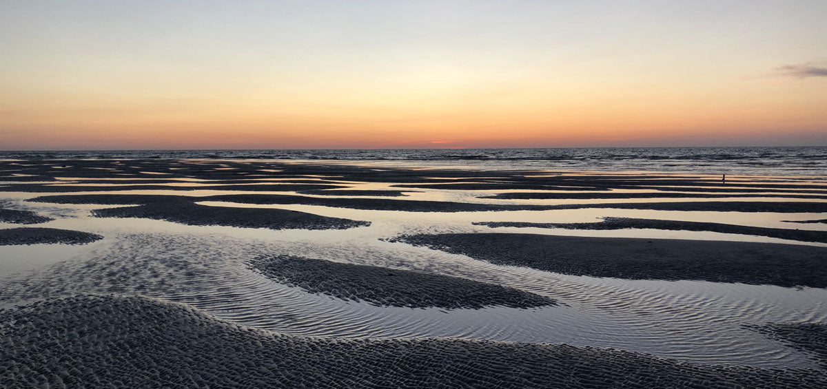 low tide shelling in florida