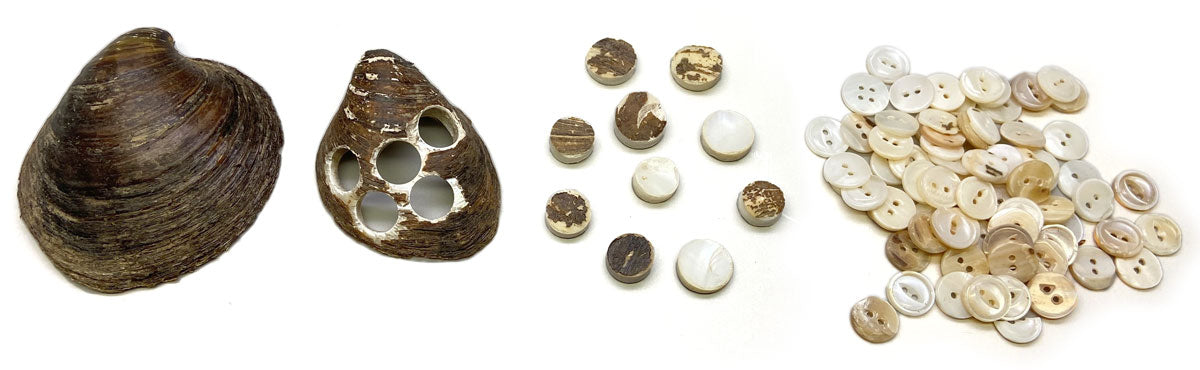 Button-making process from shell to button