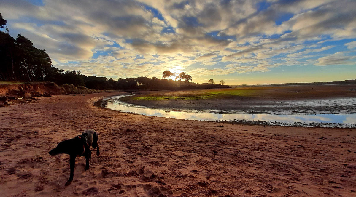 beachcombing for sea glass and beach pottery in scotland