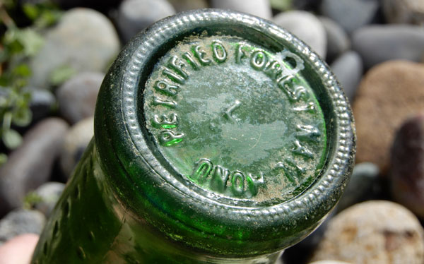 sprite petrified forest bottle