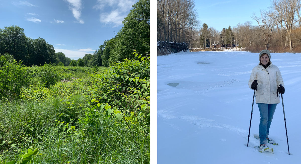 new york river in summer and winter