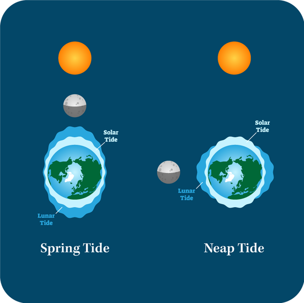 how do sun and moon affect tides