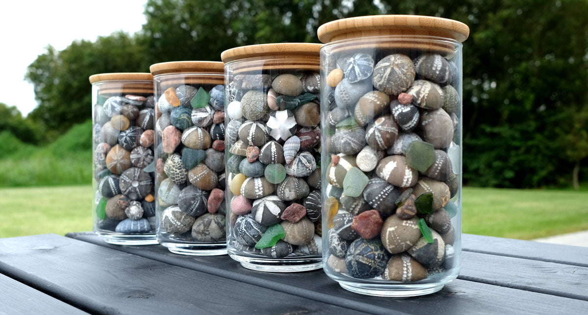 jars of fossils