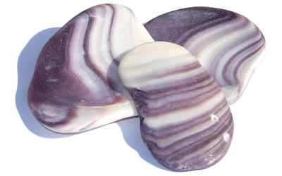 purple wampum shells