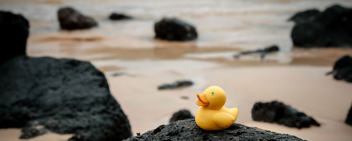 rubber ducky on the beach