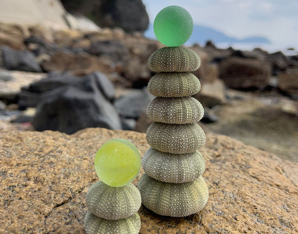 sea glass marbles and sea urchins from japan