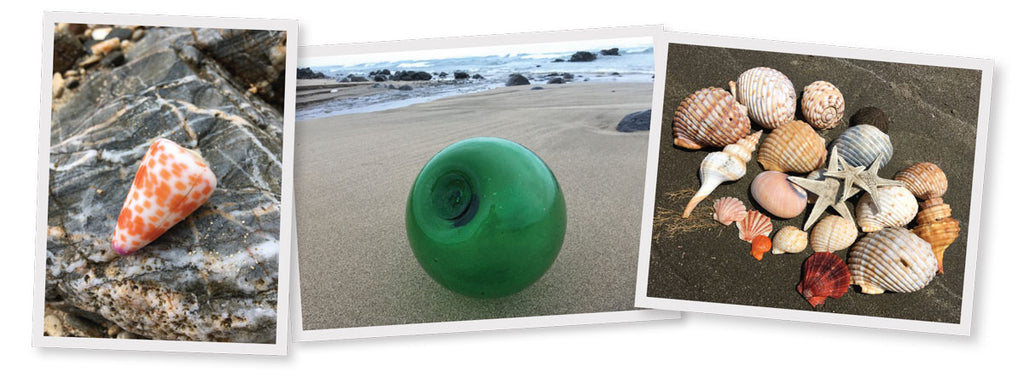 sea glass float shells from japan