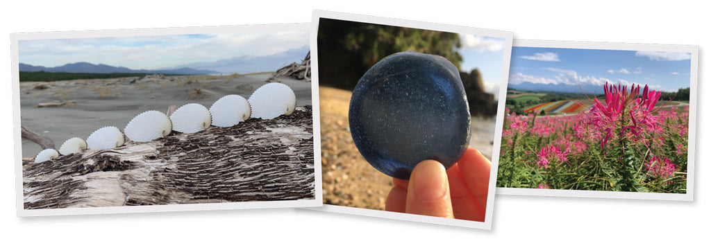 sea shells and sea glass taiwan