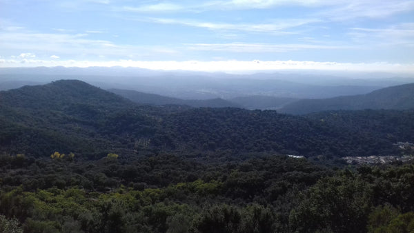 Paisaje de sierra Aracena, montaña, verde, cielo azul