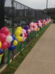 Once a dull fence - now a colourful flower wall.