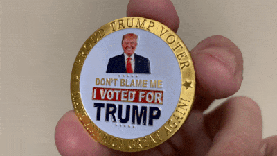 Don't Blame Me I Voted for Trump - GOLD Coin